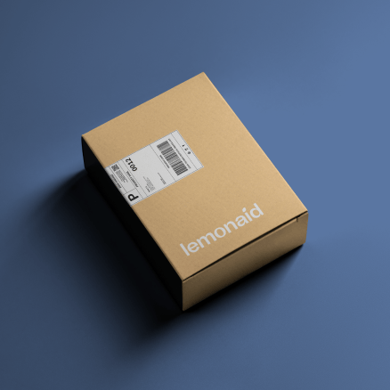 Discreet package delivery to door